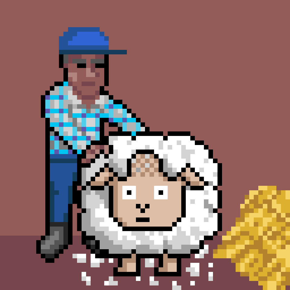 A farmer shearing a Sheep and collecting WOOL